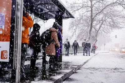 Crowded bus stop in a snowy winter day, people waiting as snow falls heavily.