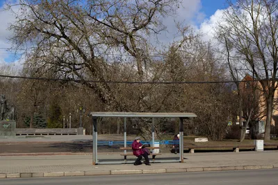 A person sits at a bus stop bench surrounded by bare trees in early spring.