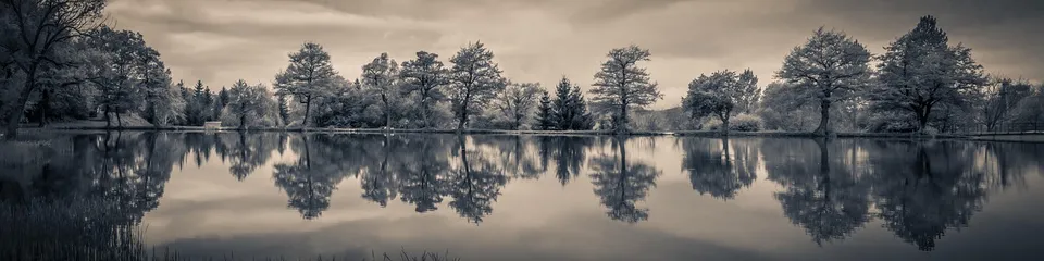 panorama, landscape, reflection, lake, nature, water, lakeside, waterfront, water surface, mood, trees, water mirror, panorama, panorama, panorama, panorama, panorama, landscape, landscape, reflection, reflection, reflection, lake, lake, lake, nature, water, water, trees